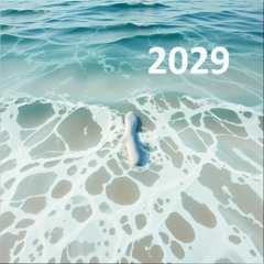2029  right  sock