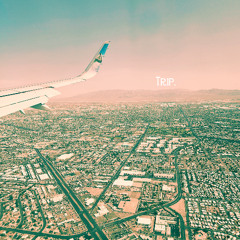 Trip