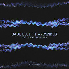 Inside (Original Mix) [feat. Shane Blackshaw]