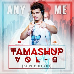 Tamashup Vol. 9 [BDM Edition] (Bollywood Mashups)