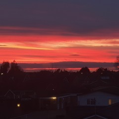 Riya - Hurt Heals (Feat. Alibi)