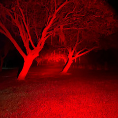 DJ CISWOMAN @ Boyfriend Reveal 04: 4-5am