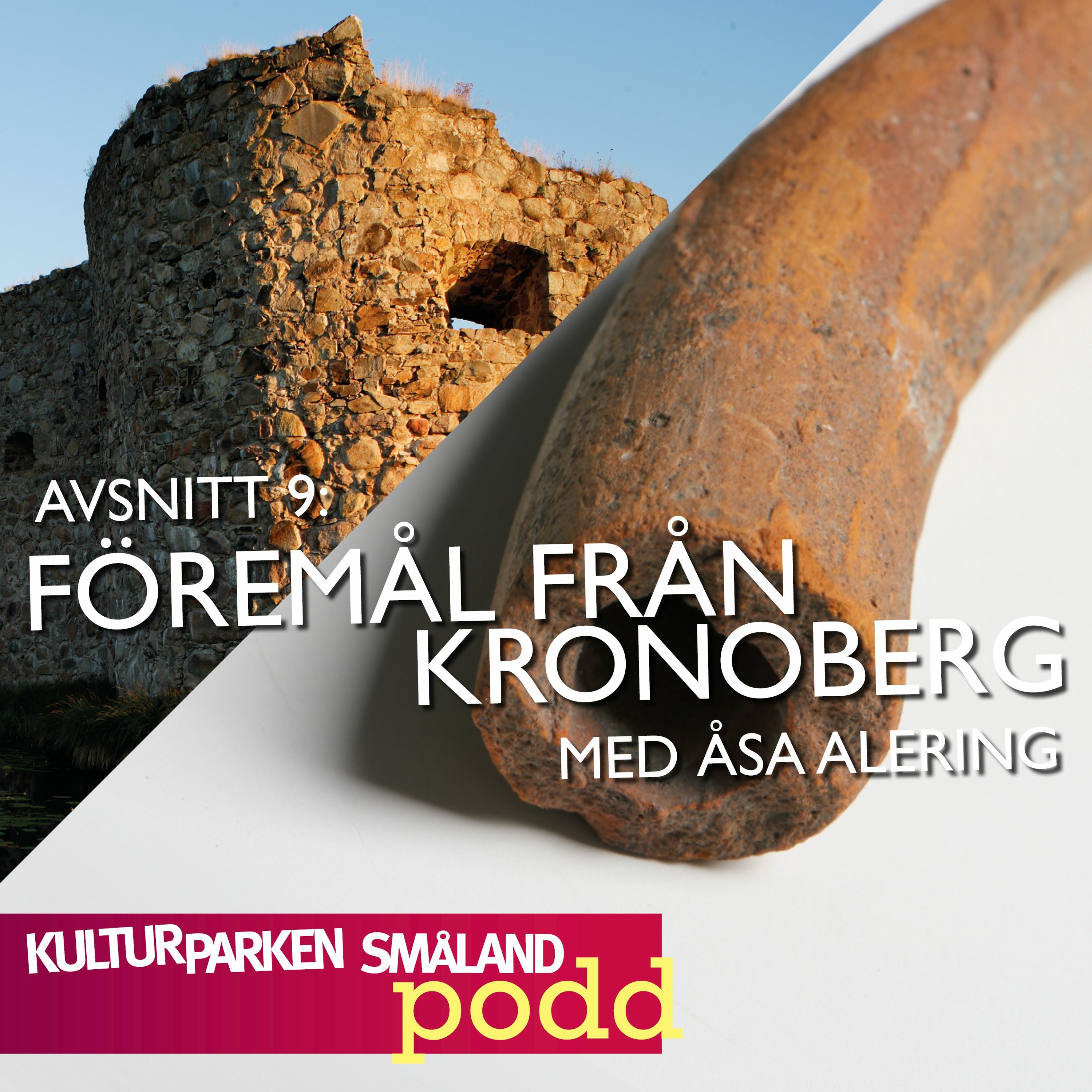 Din podd på jorden