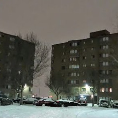 Larry Perky (Birdie) [pass my script]