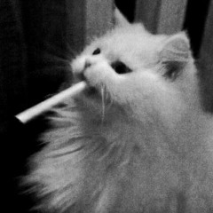 F.HERO Ft. ก้านตอง ทุ่งเงิน x SARAN - กุหลาบ (KULARB)