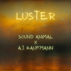Sound Animal X A.J. Kaufmann - Luster