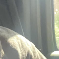 Selly - no weed today