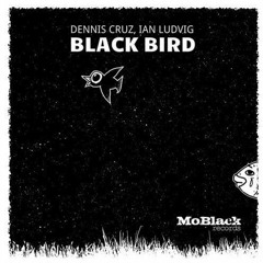 Dennis Cruz, Ion Ludvig - Black Bird (Biniak Edit)