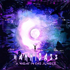 HanniBaSs - A Night In The Jungle [UNSR-048]