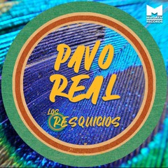 Pavo Real