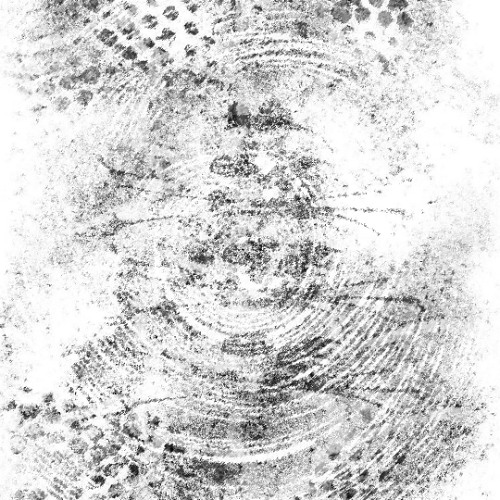 TL premiere: Amon Allard - Signal Wave [93C006]