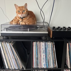 Musique, musique 20