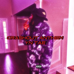 Notorious tae -Crashout anthem (Crashout)