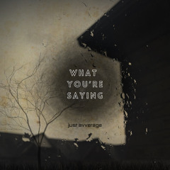 what you're saying