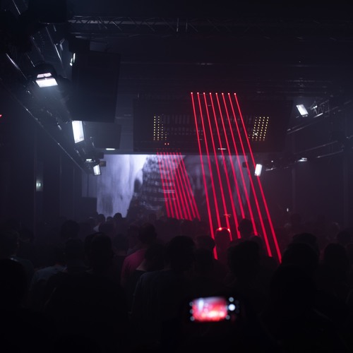 Pavo at Multigroove Elementenstraat 1992