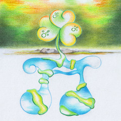 Mukuna - Zoba