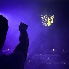 closing set 1º edicion revenge of the jaguar 08-03-2025