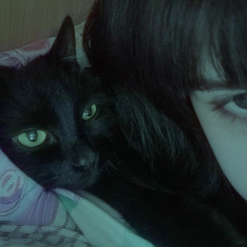 spades w caliyon prod qwerty