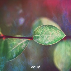 Ambient Radar [Soundscapes & Chill Relaxation]