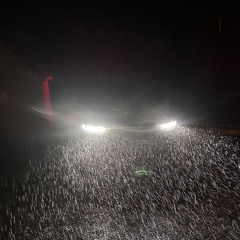 Test Pressing w/ Apiento 141224