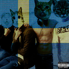 BrakeCheck [prod. nokija]