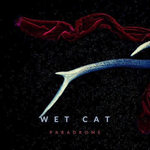Wet Cat-Paradrome