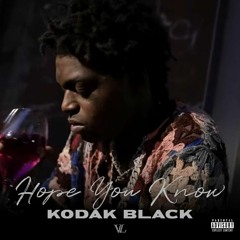 Kodak Black — Hope You Know