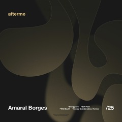 PREMIERE: Amaral Borges - Soft Rain [DAM28]