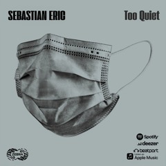 Sebastian Eric - Too Quiet • Zebra Rec. [ZBREP005] • 2021 (snippet)