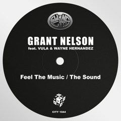 The Sound (feat. Vula & Wayne Hernandez)