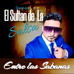 Entre las sabanas (Remix)