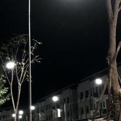 cai nao vui thi uu tien