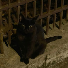 Двигай!(speed up)(prod. by @slimemaco)