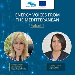 Energy consumer protection in Albania and Algeria