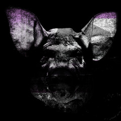 PARA|DØX - LUCIFER'S SYMPHONY