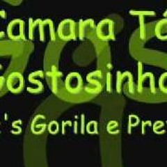 REMIX - EM CAMARÁ TA GOSTOSINHO( BEAT RELIKIA ) DJ JUNIOR - 7NOBEAT