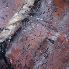 Lotus Fx - Fear Of No Form