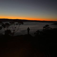 Collection Selections - purple triss