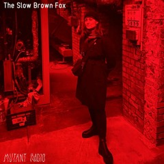 The Slow Brown Fox [10.02.2022]