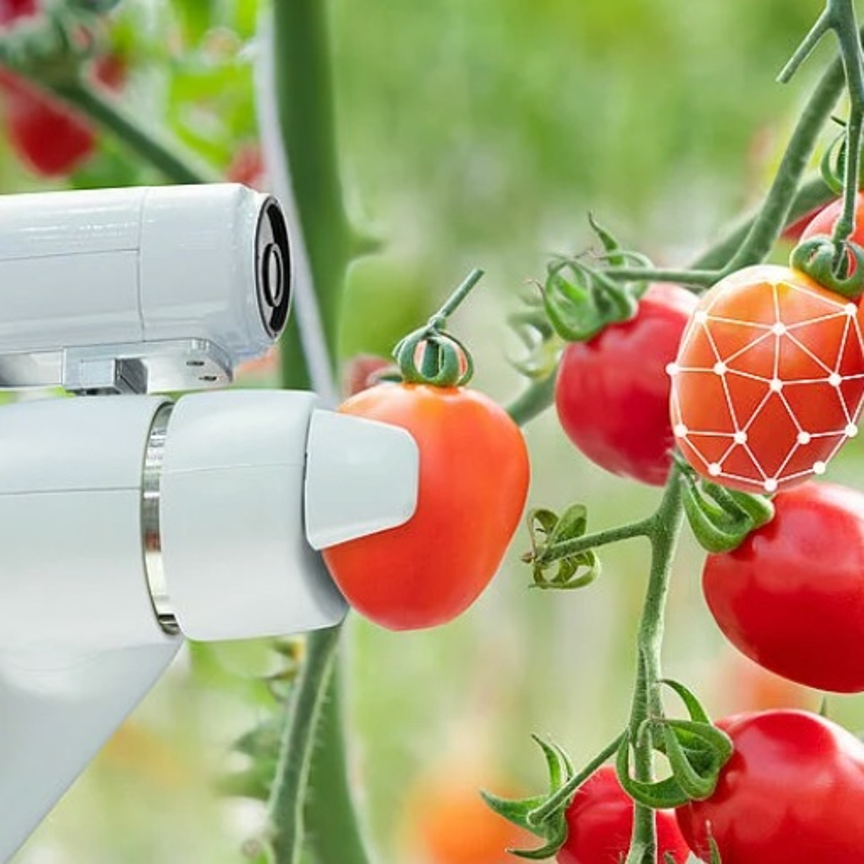 Soft Robotics Podcast