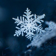 Снег-снежок