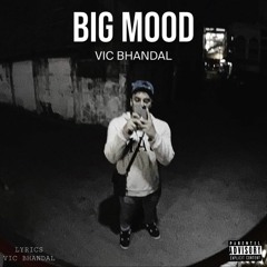 BIG MOOD - VIC BHANDAL
