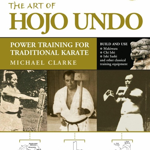 READ The Art of Hojo Undo: Power Training for Traditional Karate