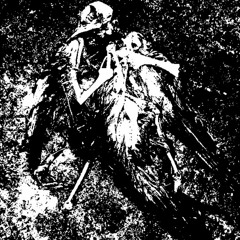 RADIATION NOISE - 17 Faixas Sem Nome Foda-se
