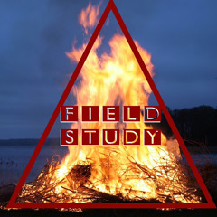 The Vegetable Forces RADIO EDIT (16bit Master).wav