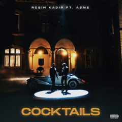 Robin Kadir - Cocktails (feat. Asme)