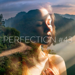 PERFECTION #43