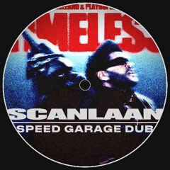 Timeless [SCANLAAN Speed Garage Dub]
