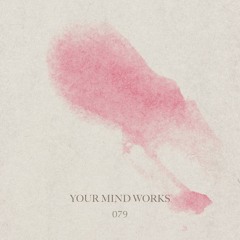 your Mind works - 079: classic Progressive House