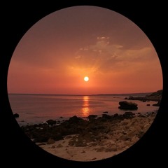 Pelucabesa - Molecular